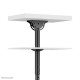NEOMOUNTS FLAT SCREEN CEILING MOUNT (32-60") NEOMOUNTS FLAT SCREEN CEILING MOUNT (32-60")