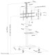 Neomounts PLASMA-M1900E TV trolley 37-70" - rotatable
