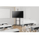TV SET ACC FLOOR STAND BLACK/PLASMA-M1950E NEOMOUNTS