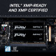 32GB 3200MT/s DDR4 CL20 SODIMM (Kit of 2) FURY Impact 32GB 3200MT/s DDR4 CL20 SODIMM (Kit of 2) FURY Impact