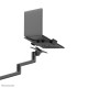 NB ACC DESK STAND 11.6-17.3"/DS20-425BL1 NEOMOUNTS NB ACC DESK STAND 11.6-17.3"/DS20-425BL1 NEOMOUNTS