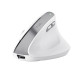Trust Bayo II mouse Office Right-hand RF Wireless Optical 2400 DPI Trust Bayo II mouse Office Right-hand RF Wireless Optical 2400 DPI