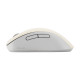 ASUS Wireless MD102 mouse Universal Right-hand RF Wireless + Bluetooth Optical 1600 DPI ASUS Wireless MD102 mouse Universal Right-hand RF Wireless + Bluetooth Optical 1600 DPI