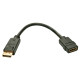 DisplayPort 1.2 to HDMI 1.3 Converter DisplayPort 1.2 to HDMI 1.3 Converter