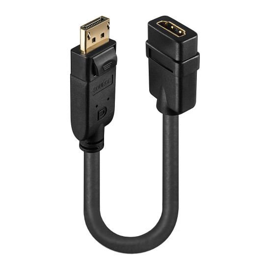 DisplayPort 1.2 to HDMI 1.3 Converter DisplayPort 1.2 to HDMI 1.3 Converter