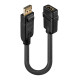 DisplayPort 1.2 to HDMI 1.3 Converter DisplayPort 1.2 to HDMI 1.3 Converter