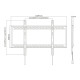M Universal Wallmount HD 100kg 900x600