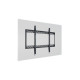 M Universal Wallmount HD 100kg 900x600