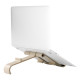 R-Go Tools Laptop and tablet stand R-Go Treepod, ergonomic and modular, adjustable, biobased