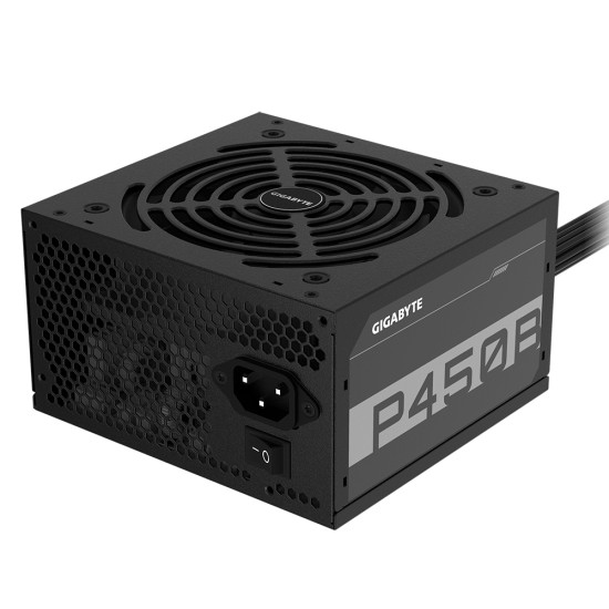 P450B P450B