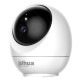 5MP Indoor Fixed-focal Wi-Fi Pan & Tilt Network Camera