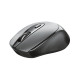 Trust Zaya mouse Office Ambidextrous RF Wireless Optical 1600 DPI Trust Zaya mouse Office Ambidextrous RF Wireless Optical 1600 DPI