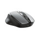 Trust Zaya mouse Office Ambidextrous RF Wireless Optical 1600 DPI Trust Zaya mouse Office Ambidextrous RF Wireless Optical 1600 DPI