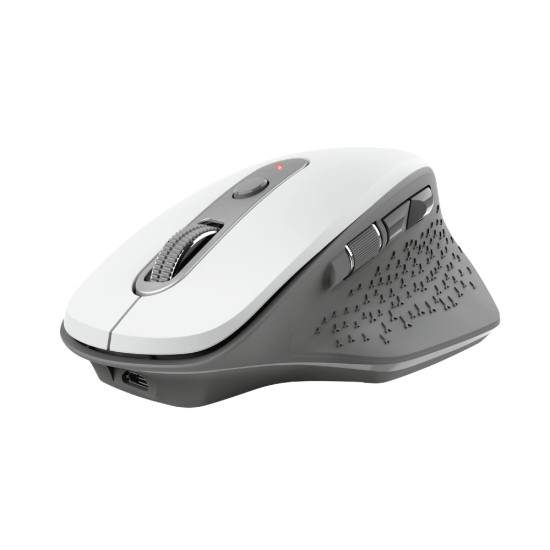 Trust Ozaa mouse Office Right-hand RF Wireless Optical 2400 DPI Trust Ozaa mouse Office Right-hand RF Wireless Optical 2400 DPI