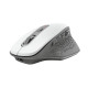 Trust Ozaa mouse Office Right-hand RF Wireless Optical 2400 DPI Trust Ozaa mouse Office Right-hand RF Wireless Optical 2400 DPI