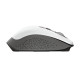 Trust Ozaa mouse Office Right-hand RF Wireless Optical 2400 DPI Trust Ozaa mouse Office Right-hand RF Wireless Optical 2400 DPI