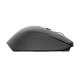 Trust Ozaa mouse Office Right-hand RF Wireless Optical 2400 DPI Trust Ozaa mouse Office Right-hand RF Wireless Optical 2400 DPI