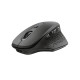 Trust Ozaa mouse Office Right-hand RF Wireless Optical 2400 DPI Trust Ozaa mouse Office Right-hand RF Wireless Optical 2400 DPI