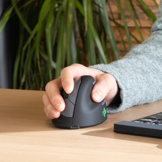 R-Go Tools Ergonomic mouse R-Go HE Break with break software, large (hand size ≥ 185 mm), right-handed, Bluetooth, black R-Go Tools Ergonomic mouse R-Go HE Break with break software, large (hand size ≥ 185 mm), right-handed, Bluetooth, black