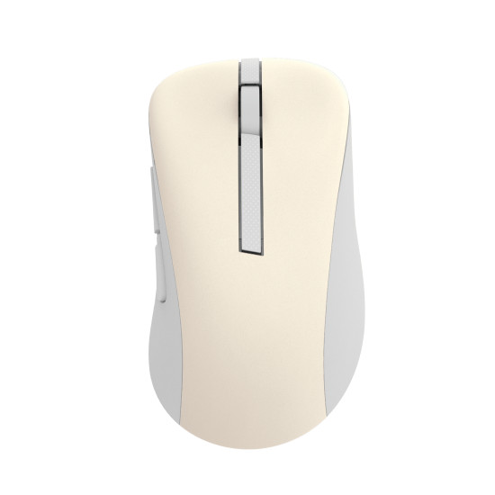 ASUS Wireless MD102 mouse Universal Right-hand RF Wireless + Bluetooth Optical 1600 DPI ASUS Wireless MD102 mouse Universal Right-hand RF Wireless + Bluetooth Optical 1600 DPI