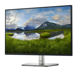 LCD Monitor|DELL|P2425E|24"|Business|Panel IPS|1920x1200|16:10|100Hz|Matte|8 ms|Swivel|Pivot|Height adjustable|Tilt|210-BMJF