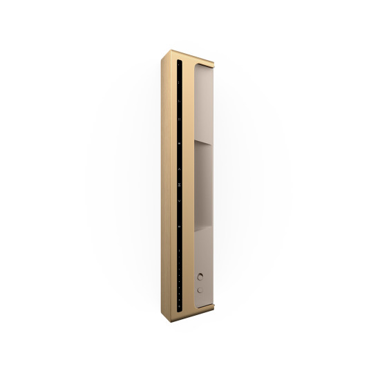 Bang & Olufsen Beosound Level Gold Bang & Olufsen Beosound Level Gold