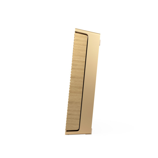 Bang & Olufsen Beosound Level Gold Bang & Olufsen Beosound Level Gold