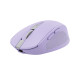 Trust Ozaa mouse Office Right-hand RF Wireless + Bluetooth Optical 3200 DPI Trust Ozaa mouse Office Right-hand RF Wireless + Bluetooth Optical 3200 DPI