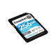 Kingston Technology Canvas Go! Plus 256GB SDXC Canvas Go Plus 170R C10 UHS-I U3 V30 Kingston Technology Canvas Go! Plus 256GB SDXC Canvas Go Plus 170R C10 UHS-I U3 V30