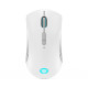 Lenovo Legion M600 Wireless Gaming mouse Ambidextrous RF Wireless + Bluetooth + USB Type-A Optical 16000 DPI Lenovo Legion M600 Wireless Gaming mouse Ambidextrous RF Wireless + Bluetooth + USB Type-A Optical 16000 DPI
