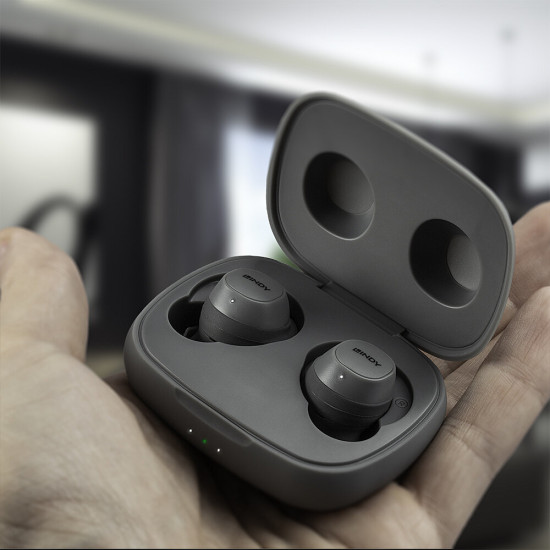 Lindy LE400W Headset Wireless In-ear Music/Everyday USB Type-C Bluetooth Grey Lindy LE400W Headset Wireless In-ear Music/Everyday USB Type-C Bluetooth Grey