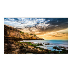 55" Crystal UHD 4K Signage QE55T