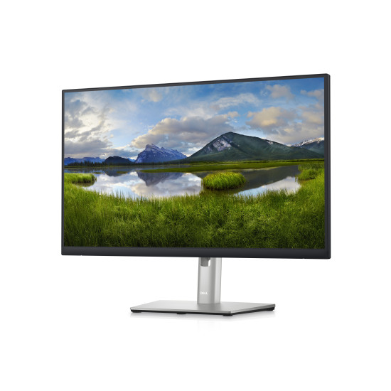DELL P Series 24 Monitor - P2423D DELL P Series 24 Monitor - P2423D
