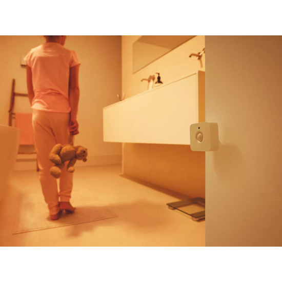 Hue Motion sensor