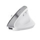 Trust Bayo+ mouse Office Right-hand RF Wireless + Bluetooth Optical 2400 DPI Trust Bayo+ mouse Office Right-hand RF Wireless + Bluetooth Optical 2400 DPI