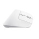 Trust Bayo+ mouse Office Right-hand RF Wireless + Bluetooth Optical 2400 DPI Trust Bayo+ mouse Office Right-hand RF Wireless + Bluetooth Optical 2400 DPI