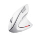 Trust Verto mouse Office Right-hand RF Wireless Optical 1600 DPI Trust Verto mouse Office Right-hand RF Wireless Optical 1600 DPI