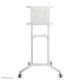 NEWSTAR MOBILE FLAT SCREEN FLOOR STAND (HEIGHT: 160 CM) 37-70" WHITE