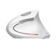 Trust Verto mouse Office Right-hand RF Wireless Optical 1600 DPI Trust Verto mouse Office Right-hand RF Wireless Optical 1600 DPI