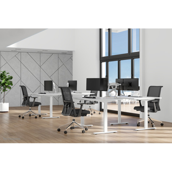 MONITOR ACC DESK MOUNT 17-35"/DS70S-950WH2 NEOMOUNTS