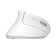 Trust Verto mouse Office Right-hand RF Wireless Optical 1600 DPI Trust Verto mouse Office Right-hand RF Wireless Optical 1600 DPI