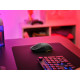 MOUSE USB OPTICAL WRL GXT927/REDEX+ HIGH PERF 25127 TRUST MOUSE USB OPTICAL WRL GXT927/REDEX+ HIGH PERF 25127 TRUST