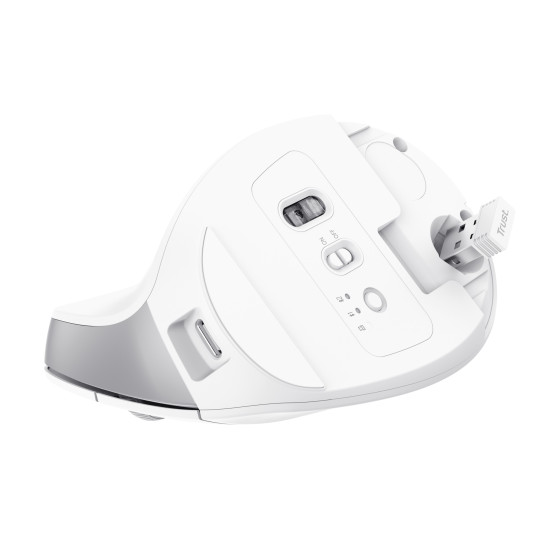 Trust Bayo+ mouse Office Right-hand RF Wireless + Bluetooth Optical 2400 DPI Trust Bayo+ mouse Office Right-hand RF Wireless + Bluetooth Optical 2400 DPI