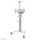 NEOMOUNTS BY NEWSTAR SELECT MOBILE DISPLAY FLOOR STAND (32-75") 10 CM. WHEELS WHITE NEOMOUNTS BY NEWSTAR SELECT MOBILE DISPLAY FLOOR STAND (32-75") 10 CM. WHEELS WHITE