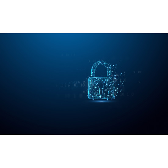 128GB IronKey Locker Plus 50 G2, FIPS 197, AES-256