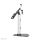 Neomounts TABLET-D150SILVER Tablet stand desk 7.9-10.5" - lockable - universal Neomounts TABLET-D150SILVER Tablet stand desk 7.9-10.5" - lockable - universal