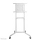 NEWSTAR MOBILE FLAT SCREEN FLOOR STAND (HEIGHT: 160 CM) 37-70" WHITE