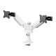 Neomounts DS65S-950WH2 Monitor arm 24-34" - gas spring - Topfix - multi-adjustable - 180°-stop Neomounts DS65S-950WH2 Monitor arm 24-34" - gas spring - Topfix - multi-adjustable - 180°-stop