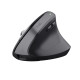 Trust Bayo+ mouse Office Right-hand RF Wireless + Bluetooth Optical 2400 DPI Trust Bayo+ mouse Office Right-hand RF Wireless + Bluetooth Optical 2400 DPI