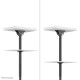 Neomounts CL35-340BL22 Dual monitor/TV mount ceiling 23-42" - h 106-156 cm